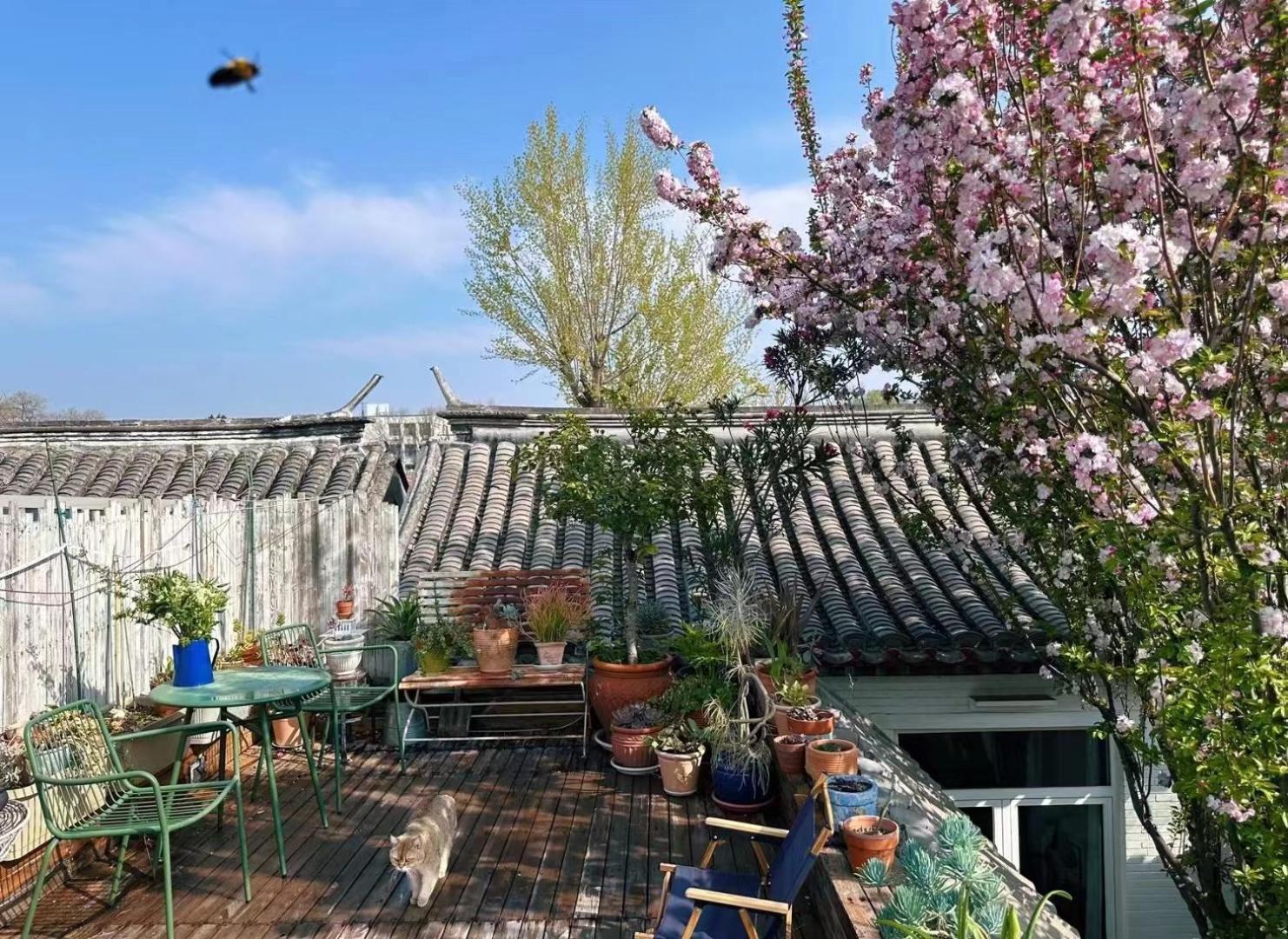 Peking Garden Boutique Hotel Ngoại thất bức ảnh